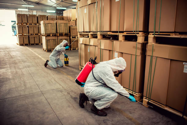 Best Wasp Removal Services  in Manchester, WA