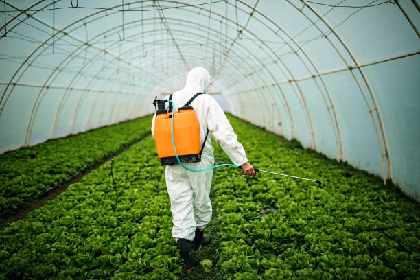Pest Control Cost in Manchester, WA