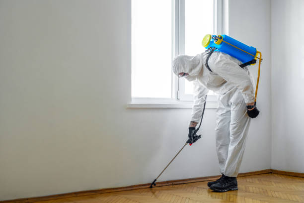Best Pest Control Cost  in Manchester, WA