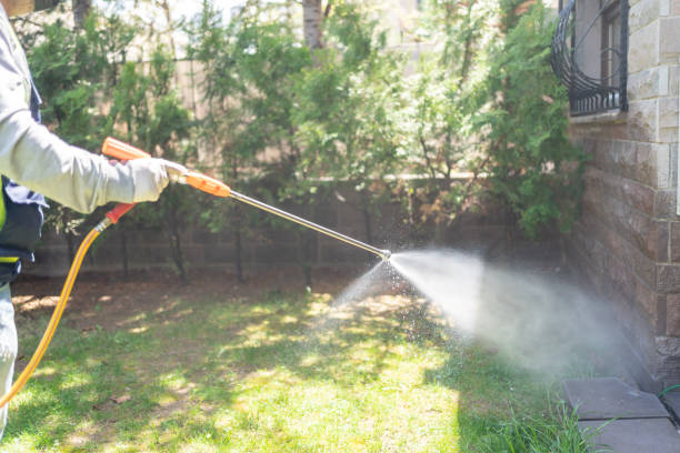 Best Flea Control Services  in Manchester, WA
