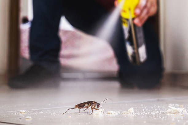 Best Pest Inspection Near Me  in Manchester, WA