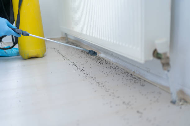 Best Exterminator Services  in Manchester, WA