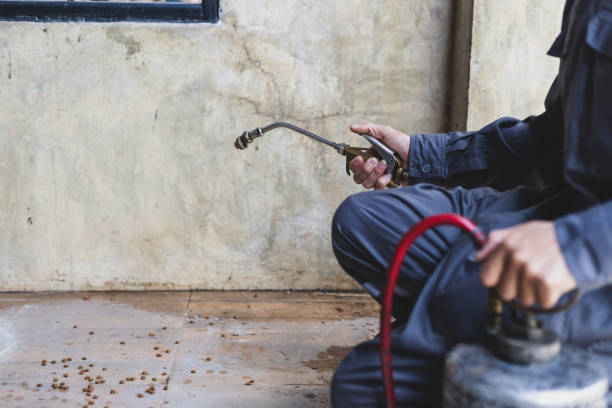 Best Pest Removal Services  in Manchester, WA