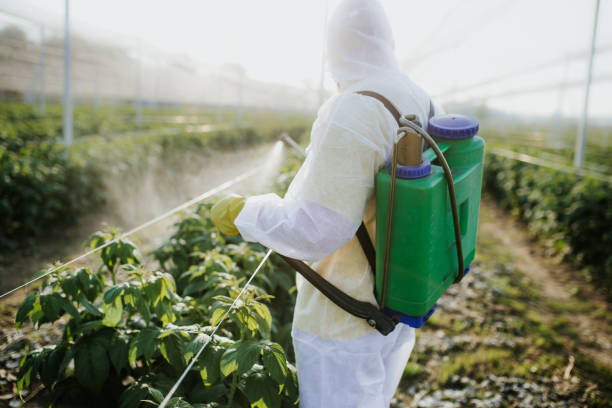 Best Pest Control for Homes  in Manchester, WA
